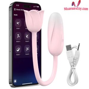 [TR46] TRỨNG APP HOA HỒNG